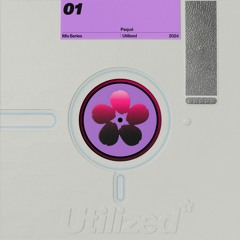 Paqué // Utilized Mix Series #01