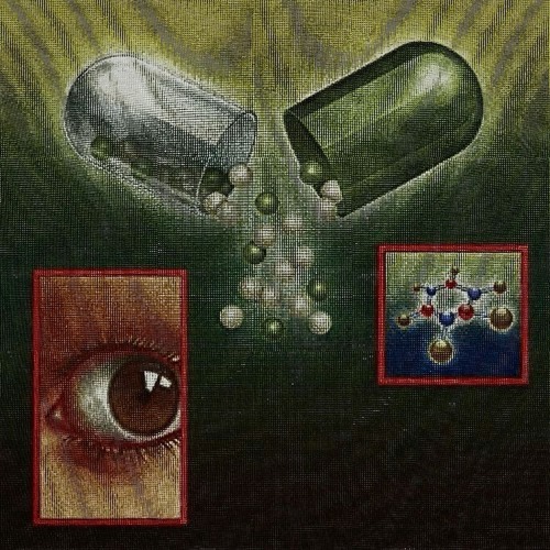 ⋆˚࿔🫀🐁🫆⋆˚꩜｡🥡🌚🥢⋆.ೃ࿔*:･