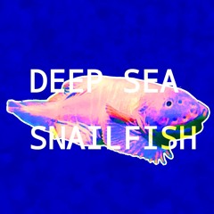 DEEP SEA SNAILFISH