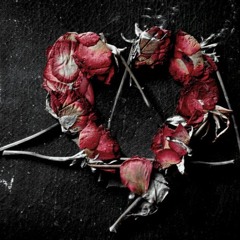 Dead Roses Wild Christopher & Unguided Express