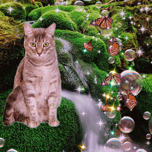 KING KELECHI - ĦUNNİT RĄÇKS (prod. akkura77)