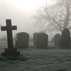 [GRAVEYARD] - Yung Vein x TIMOROUS (prod. by r1ckxdr)