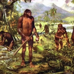 jungle samples june 2025 (yuxngmake21)