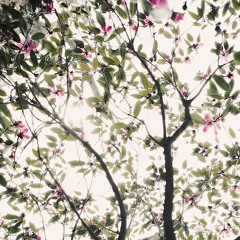 A dj-set From HOTL 5.22.2018 #21