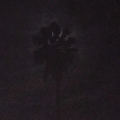 Out 4 The Night (prod. by pierre1k)