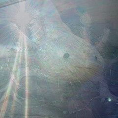 flowlotl !!!!!!!!!!!!!!