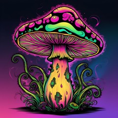 Psychedelic Experience
