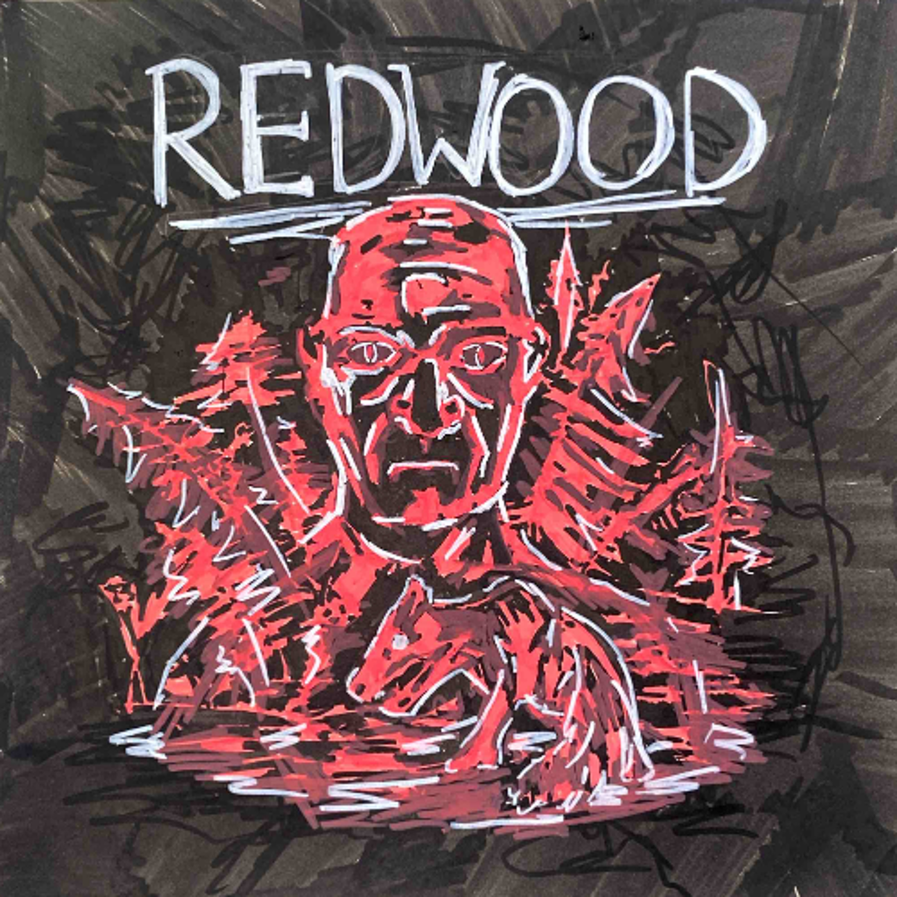 Redwood - Theo, Lachlan and Michael - Cardijn College