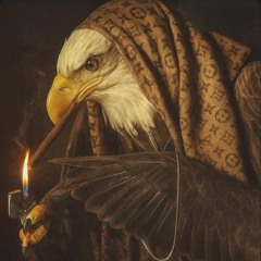 Eagle Eye Prod By 8BIT