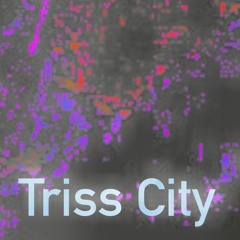 Triss city