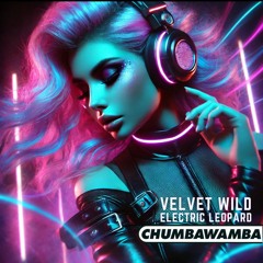 Chumbawamba – Tubthumping (Never Gonna Keep Me Down) REMIX 2025