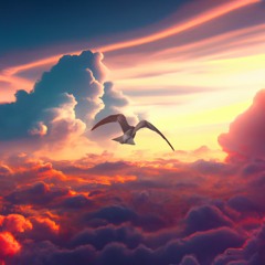 Clouds