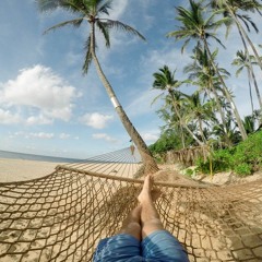 Tropical Holiday