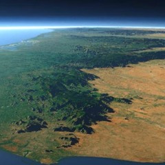 346tg3rlicorice v34fsdfsdcvdsvssdbs