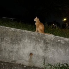 street