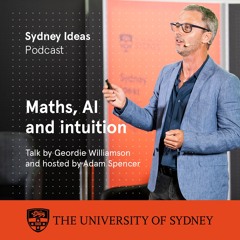 Maths, AI and intuition
