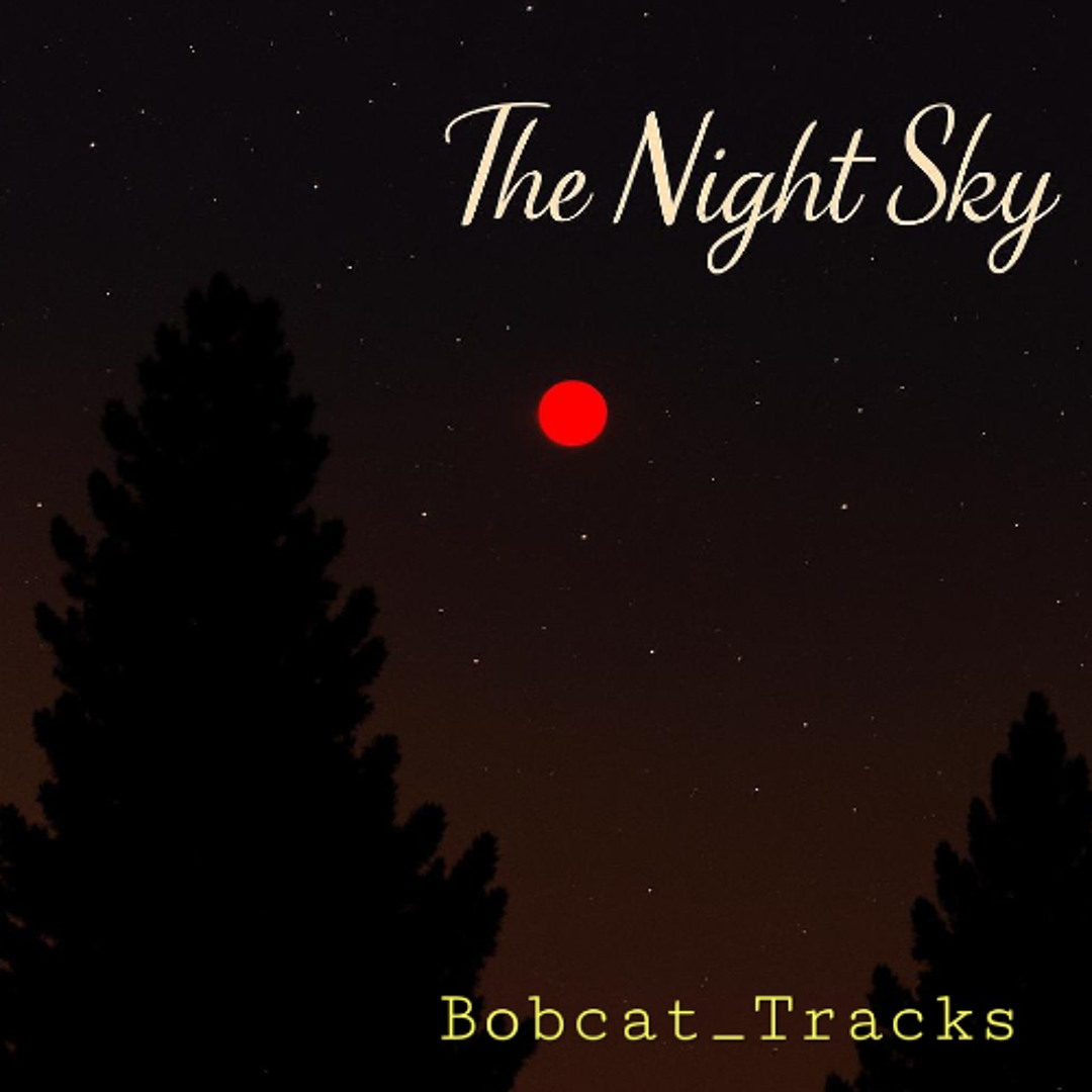 Stream The Night Sky by Bobcat_Tracks | Listen online for free on ...