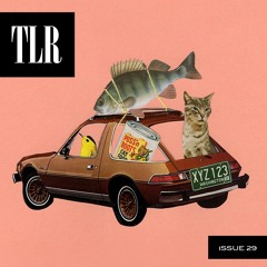 Tahoma Literary Review, Issue 29