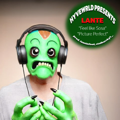 lante - picture perfect (leaninfool, stalkerrkryt) [hyvexclusive]