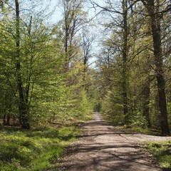 Happy Green