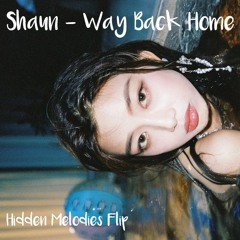 Way Back Home Remix