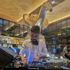 Solo Party with Cats 1