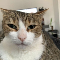 HARD TECHNO MIX #02 @Oggy