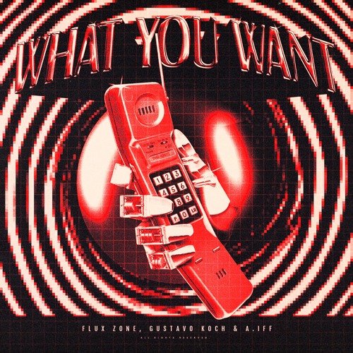 Flux Zone, Gustavo Koch & A.IFF - What You Want (Extended)