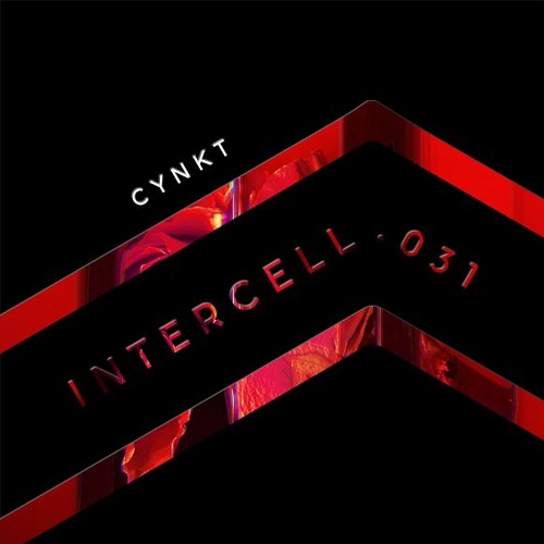 Intercell.031 - CYNKT