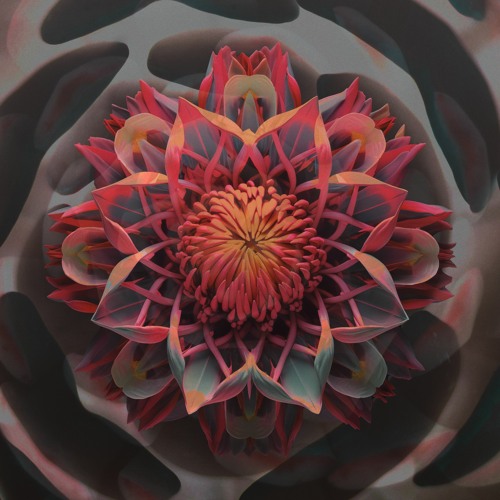 Stan Forebee - Now Or Never