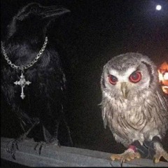 8R££Z¥ - EVIL³ TWIN