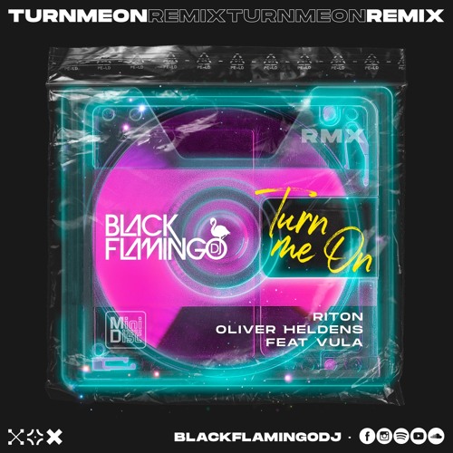 Stream Turn Me On (Black Flamingo Remix)-Riton, Oliver Heldens ft. Vula by  Black Flamingo Dj | Listen online for free on SoundCloud