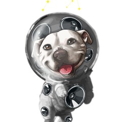 BSM-ThumpDaze011-080419-WooDogRecords