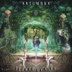 Antumbra & Ulta Pulta - Flower Of Life...