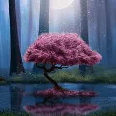 ZE RON - JUST RELAX