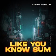 Like You Know Sum