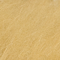 82 monsterandgo @saucesupply @prod.dizzi