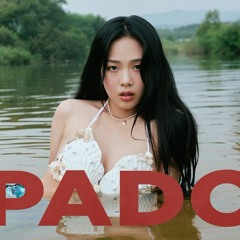 BIBI - PADO (demo mix)