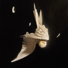 wont stop (prod. whosdiced)