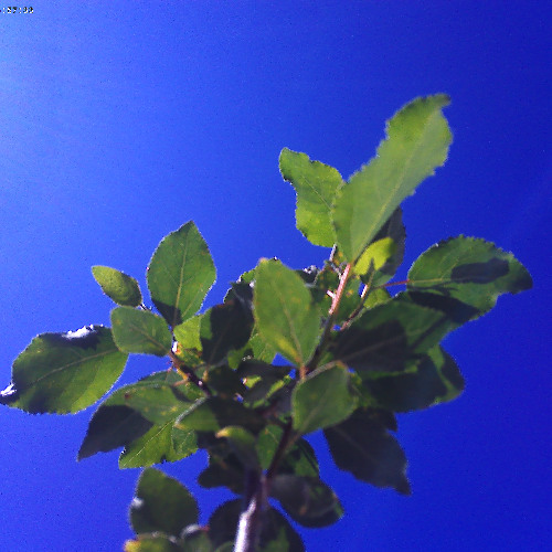 deceleration     8       25