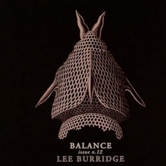 VA  BALANCE 012 - LEE BURRIDGE (2007)