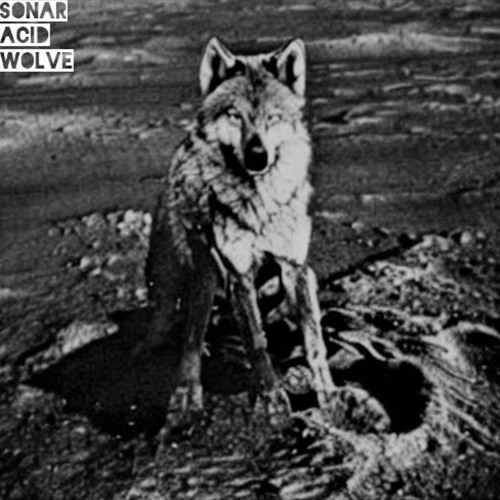 Sonar Acid Wolve- The First Wolve on the Moon EP (Released 01/03/2023)