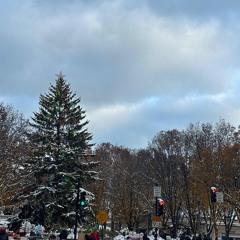 mug in the sink demo