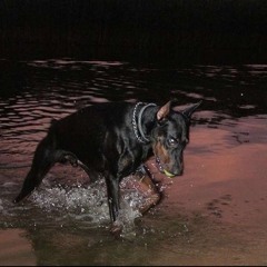 "Sketch" chucky ft 210toro PROD - Sammyboy