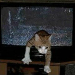 Battle against TV Cat - Boss fight