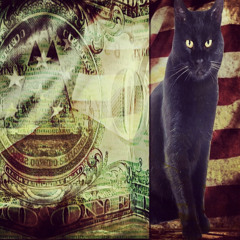 #BlackCatPositivity  (prod finessefather)