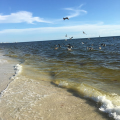 Instrumental Cover of “Marvin Gaye - Sexual Healing” - (re-imagined by tprentis)