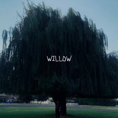 willow (feat. halfhearted)