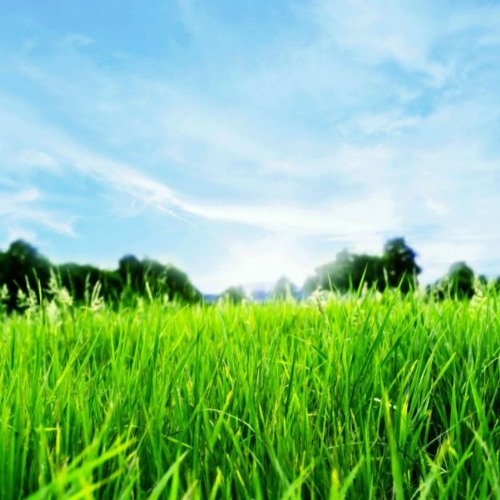 สลักเกลียว free background music for youtube DOWNLOAD