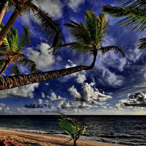 留学制作文凭≤ romantic background music DOWNLOAD